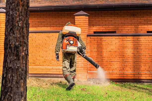 Trusted Fumigation Services service in Wheat Ridge, CO - Nex Pest Control
